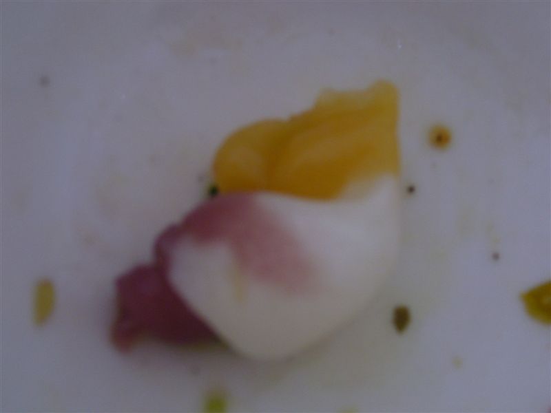 P1030732